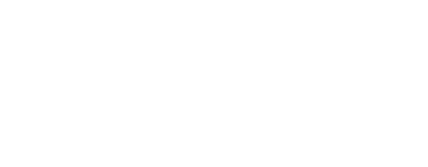 SeaNeB